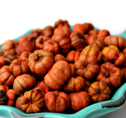 Essential Oil Blend | Mini Pumpkin Potpourri