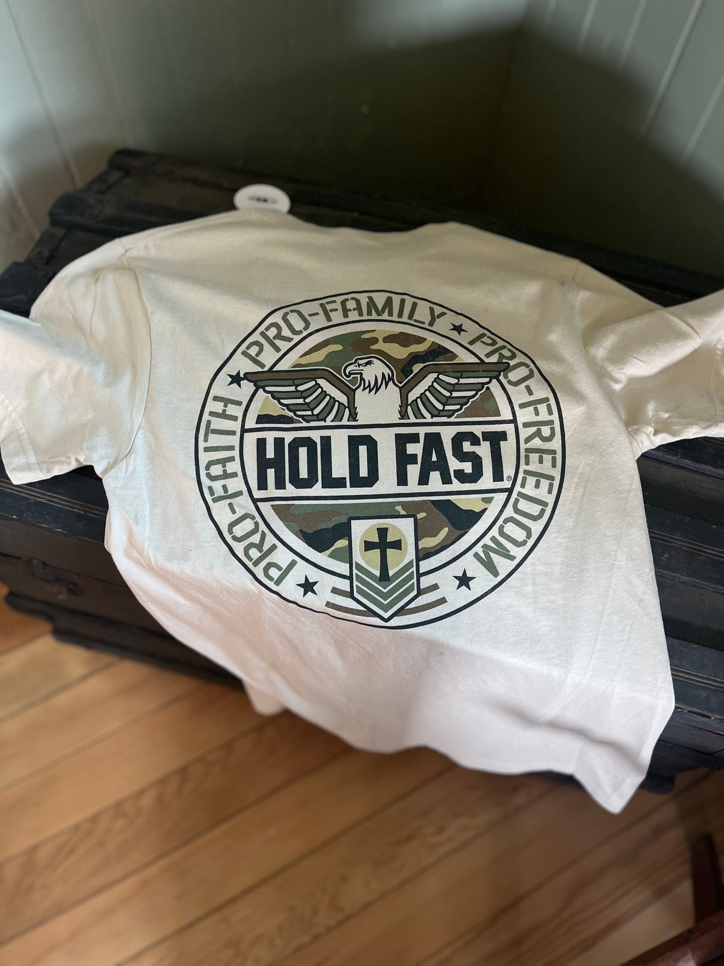 Hold Fast Mens T-Shirt Pro Faith Family Freedom Eagle